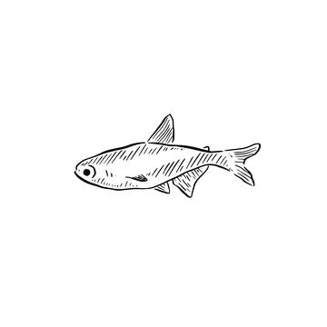 Small fish illustration facing left. Stock Illustration