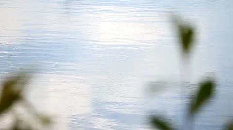 Small fish jumping Stock Footage 10749373