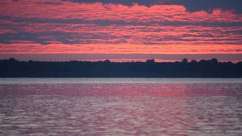 Small fish jumps far off out of water at dawn Stock Footage 69723257