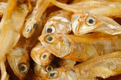 Small fish Stock Photos