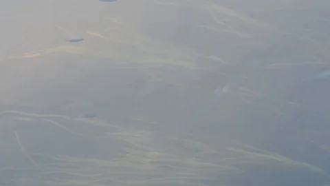 Small fish swim against the current in the river Stock Footage 90333158