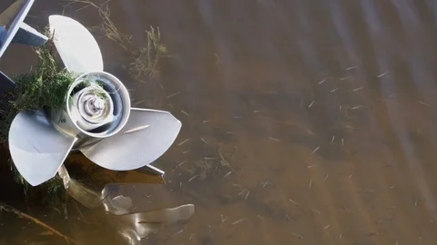 Small fish swim around the propeller boat close-up Stock Footage 101684407