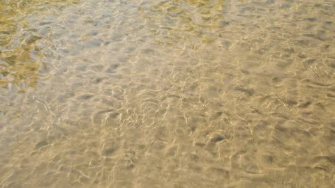 Small fish swim in clear river water. View from above. Shallow river water and Stock Footage 163345440