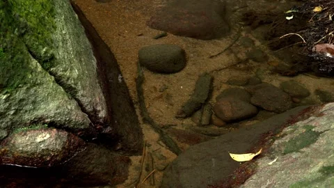 Small Fish Swimming in Clear Tropical Stream Between Rocks Vidéo 340376987