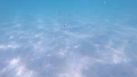 Small fish in turquoise waters, by01 Stock Footage 137036589