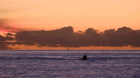 Small fishing boat returns at sunset Stock Footage 104765663