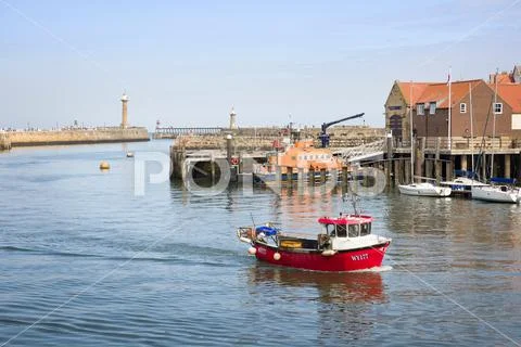 Miniature Fishing -  UK