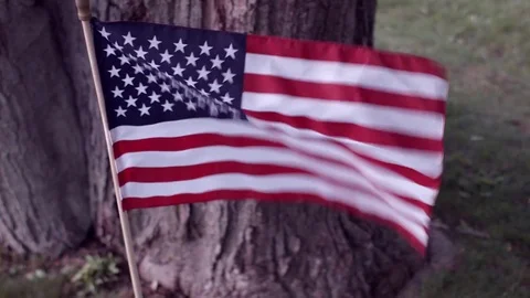 A Small Flag Blowing In The Wind In Front Of A Large Tree At A Vietnam War Memor 库存影片 76901133