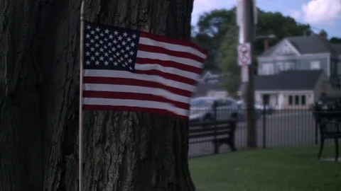 A Small Flag Blowing In The Wind In Front Of A Large Tree At A Vietnam War Memor 库存影片 76901984