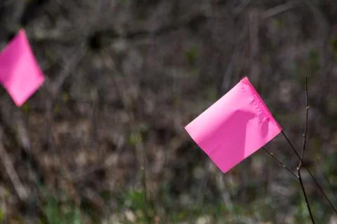 Small flags Stock Photos