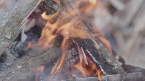 Small flame burning in the brazier. Campfire burning in the tourist camp. close Stock Footage 209590557