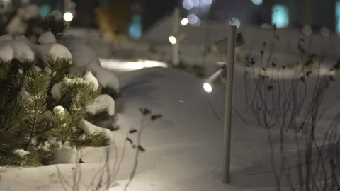 Small flashlight emits sharp beam among snow covered bushes Stockbeeldmateriaal 326465183