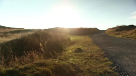 Small flies flying in front of beautiful sun flare, particles Video stock 45160115