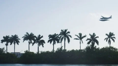Small Float Plane Departs Water Runway Near Miami Dade Port Above Palm Trees Video stock 72969131