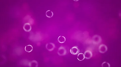 Small floating pink bubbles - Animated motion background video loop HD Stock Footage 67318749