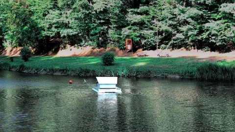 Small Floating Platform on Pond Near Forest Shore Stock Footage 345654526