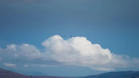 A small flock of birds flies fast above the mountainous landscape and Stock Footage 276514354