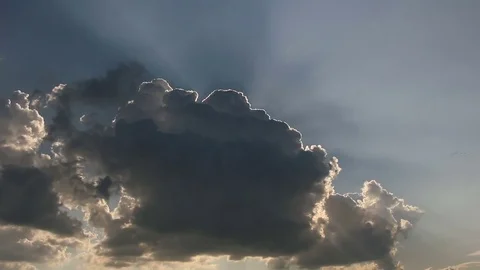 Small flock of birds Stock-Footage 84720228