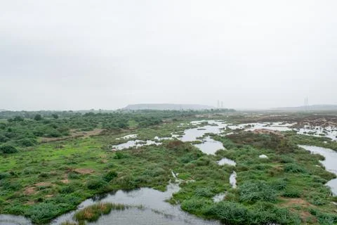 Small flood Stock Photos