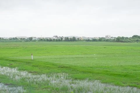 Small flood Stock Photos