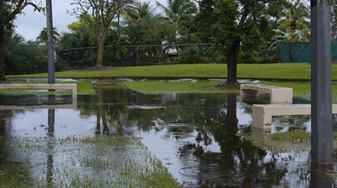 Small flooded park Stock Footage 28279887