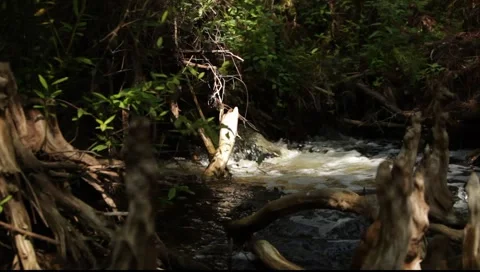 Small Florida Waterfall 스톡 동영상 6929096