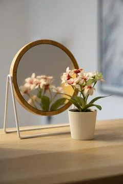 Small flower in front of a mirror Stock Photos