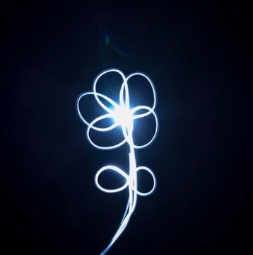 Small Flower Painted with Light Stock Photos