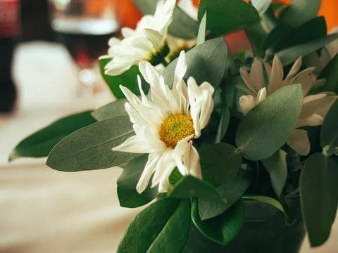 Small Flower Stock Photos