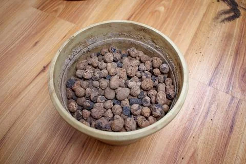 In a small flower pot, expanded clay for plants. Plant transplant concept. Stock Photos
