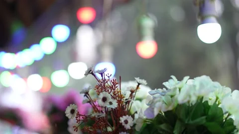 Small flower pot in the shop Stock Footage 176407819