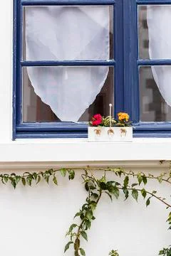 Small flowerpot on the windowsill Stock Photos
