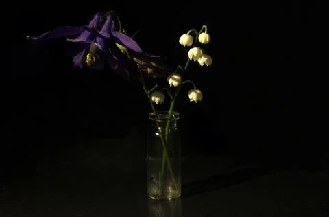 Small flowers Stock Photos