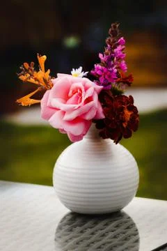 Small flowers in a vase Stock Photos