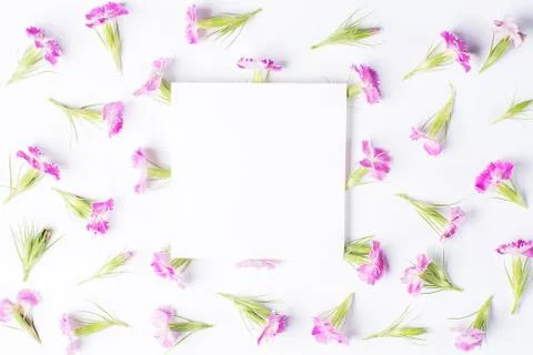 Small flowers on a white background Stock Photos