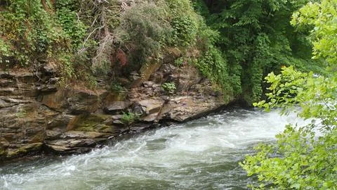 Small Flowing Mountain River Stock Photos