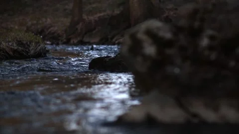 Small flowing river in sunset closeups - 3 clip bundle 스톡 동영상 248695803