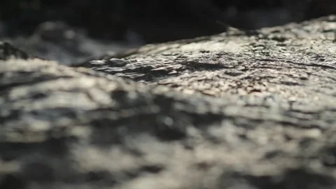 Small flowing river in sunset closeups - 2 focus points variant bundle 스톡 동영상 248696232