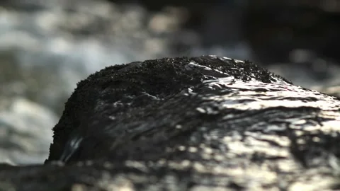 Small Flowing River In Sunset extreme closeups locked off - 4 Clip Bundle 스톡 동영상 248696233