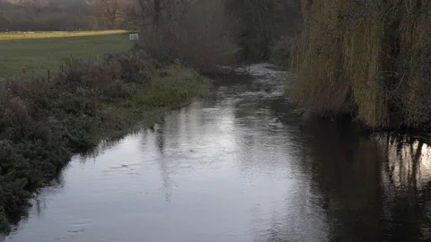 Small flowing river with weeping willow trees and foliage on the riverbank Stock Footage 94739972