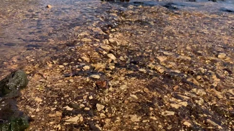 Small Flowing Stream Stock Footage 276565201