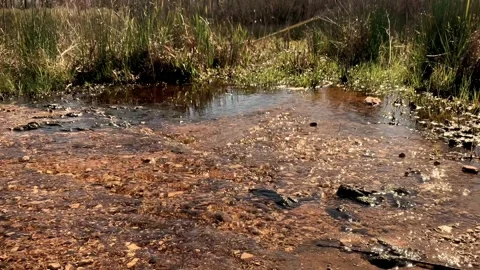 Small Flowing Stream Stock Footage 276565238