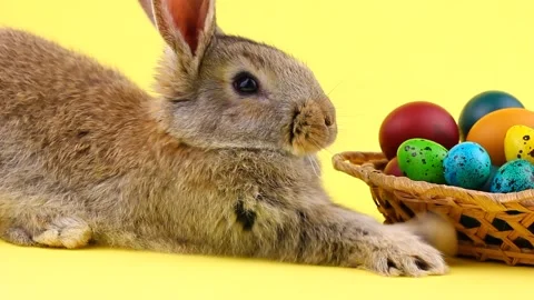 A small fluffy brown Easter bunny lies near a wooden wicker basket with a Stock Footage 147310675