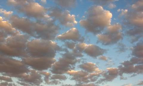 Small fluffy clouds are illuminated by bright pink light Stock Photos