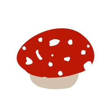 Small fly agaric mushroom with red cap and white dots, Amanita muscaria mushr Stock Illustration