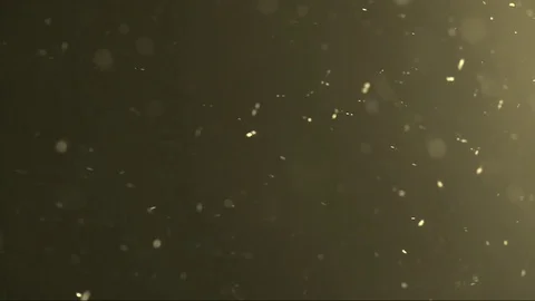 The small flying particles in emptiness. Stock Footage 100868733
