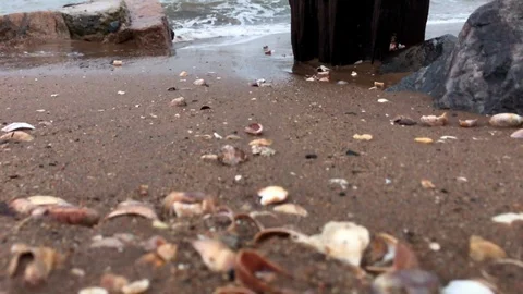 Small foamy wave as tide rolls in at camera Stock Footage 100605367