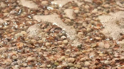 Small foamy waves washing over seashells on sandy beach, Stock Footage 335886892