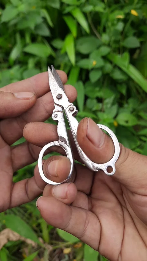 Small folding metal scissors, pocket utility tool with sharp blades, hardwa.. Stock-Footage 345114892