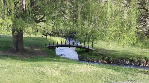 Small Foot Bridge Over Stream 스톡 동영상 11057412
